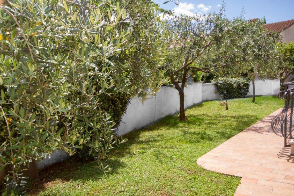 Villa Sveta Eufemija Bed End Breakfast I Ровин Екстериор снимка
