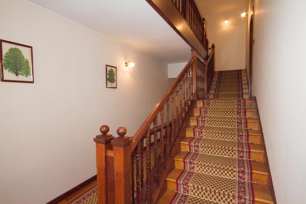 Villa Sveta Eufemija Bed End Breakfast I Ровин Екстериор снимка